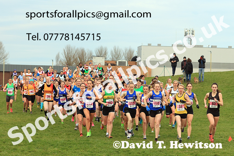 Senior womens 2024 NECAA Cross Country Champs., Temple Park, South Shields. Photo: David T. Hewitson/Sports for All Pics